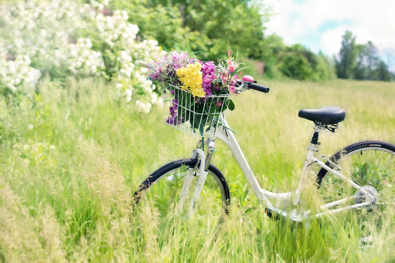 Rower jako sprzymierzeniec zdrowia: Odkryj zalety jazdy na rowerze i rowerowych wycieczek